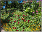 foto Giardini Trauttmansdorff - Paesaggi dell'Alto Adige